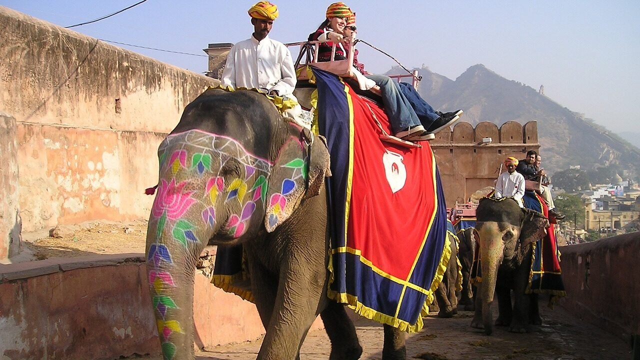 india, elephant, transport