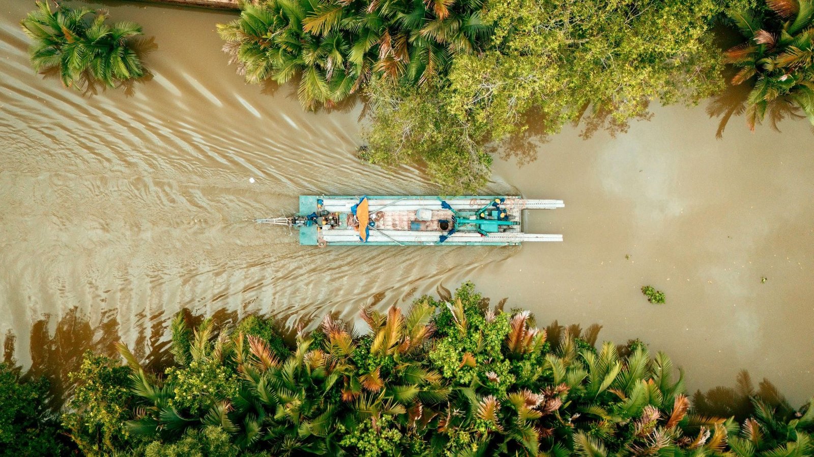 Les Nigérians au secours de la mangrove