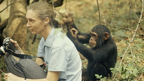 une femme en train de jouer avec un singe